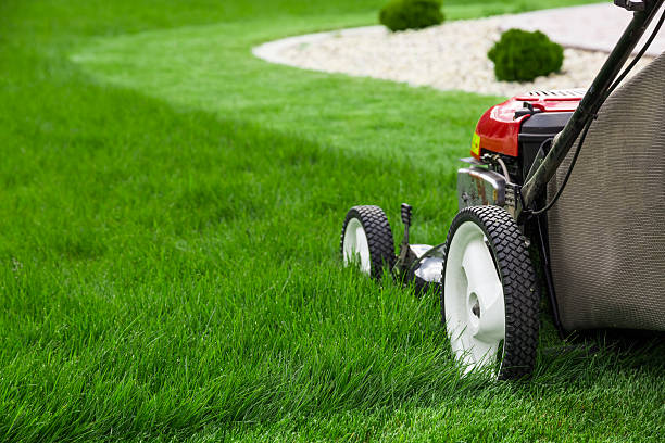 grass mowing